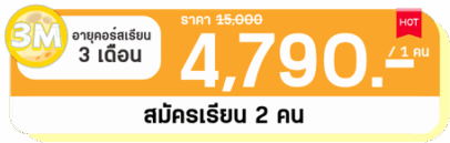 6 6