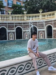 ไม้แก่น