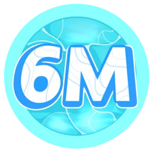 ระบบเรียน 6 เดือน