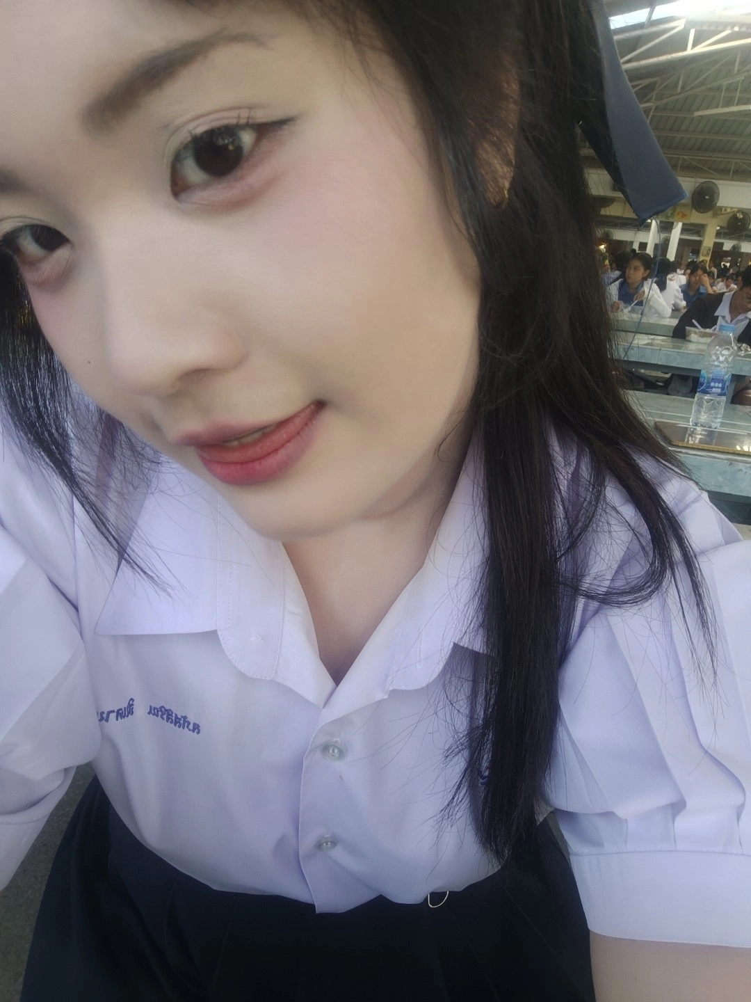 ต้นข้าว